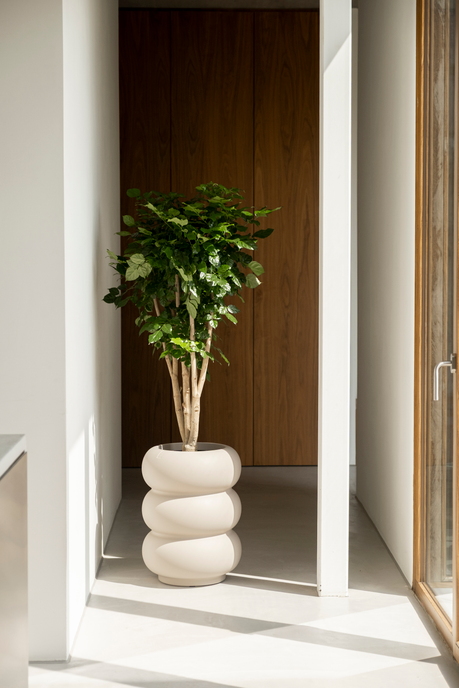 amber roll high 43cm balanced beige